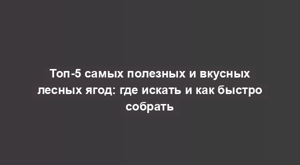 Топ-5 самых полезных и вкусных лесных ягод: где искать и как быстро собрать