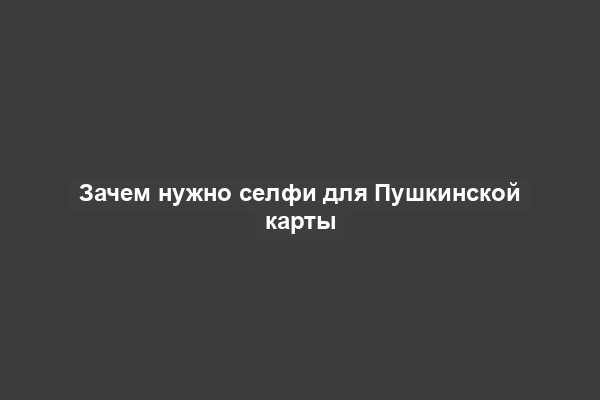 Зачем нужно селфи для Пушкинской карты