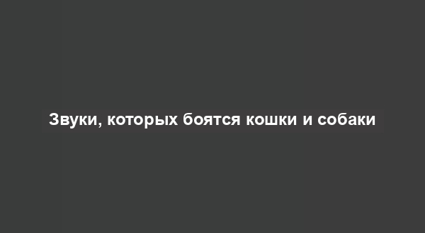 Звуки, которых боятся кошки и собаки